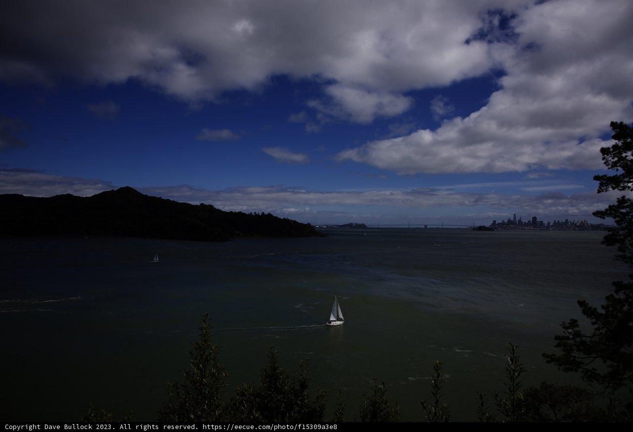 Serene Sailboat Adventure in Tiburon