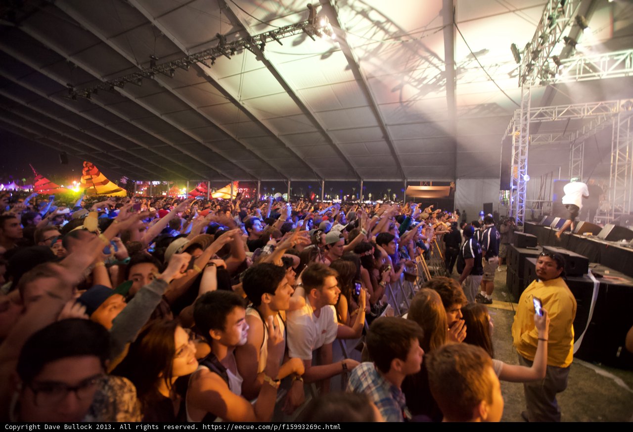 Hands Up in the Crowd