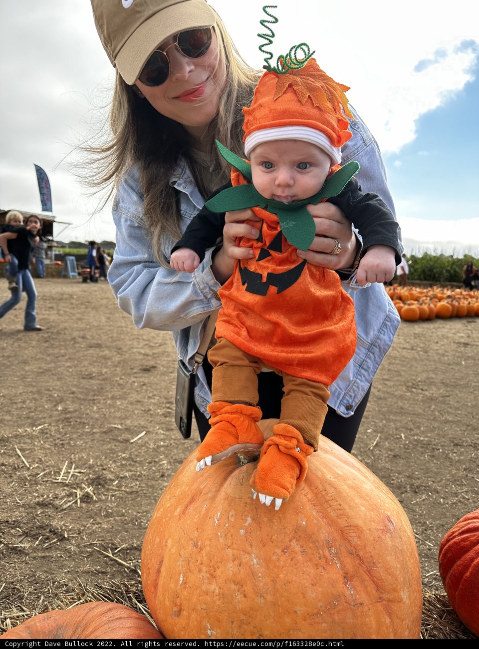 Pumpkin Patch Baby Photo Shoot