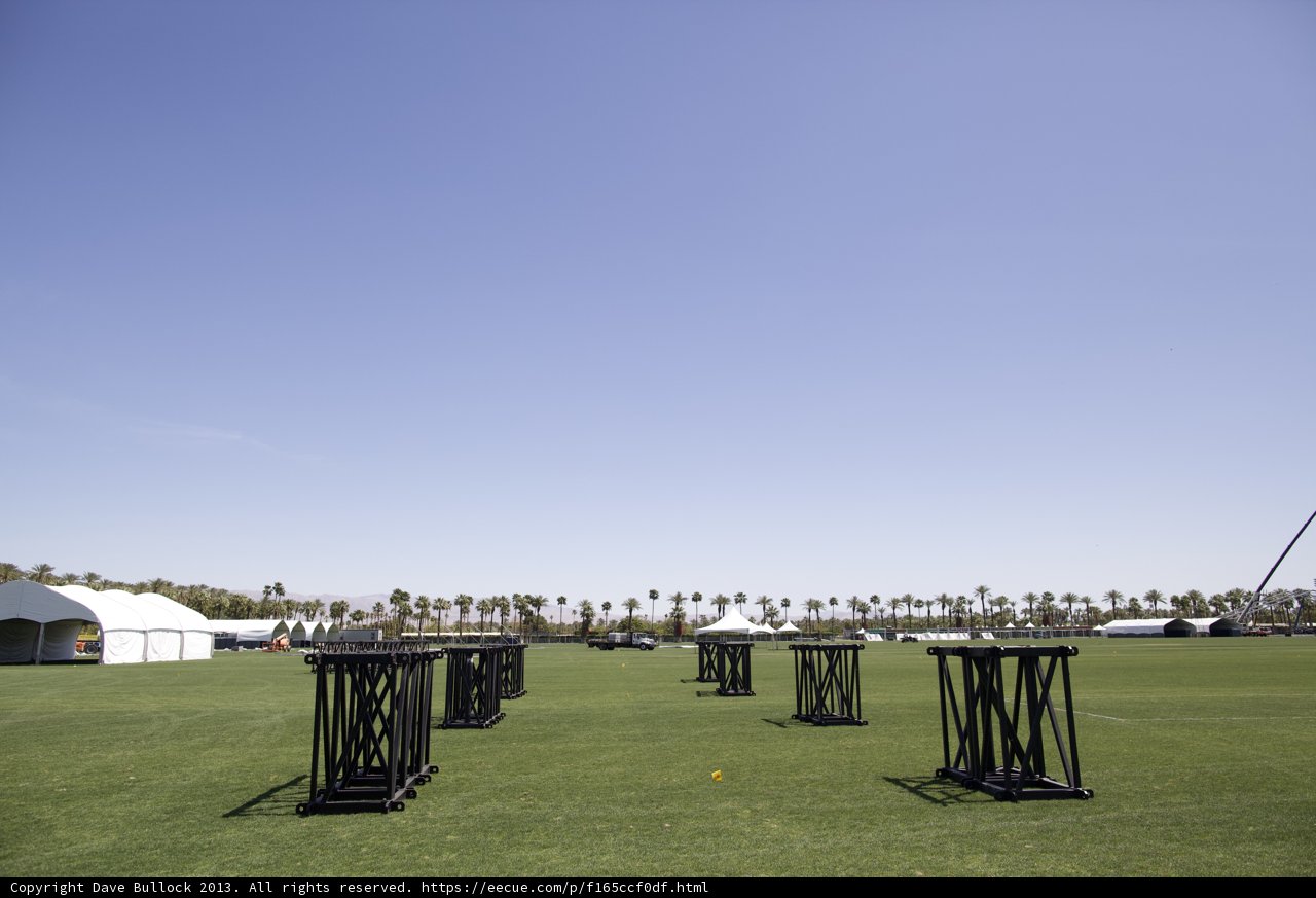 Black Poles in the Field