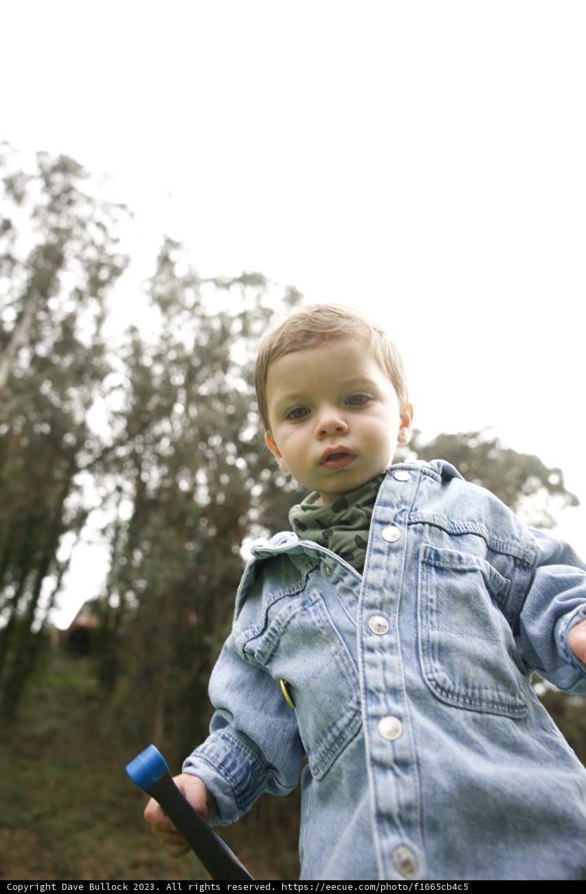The Young Adventurer