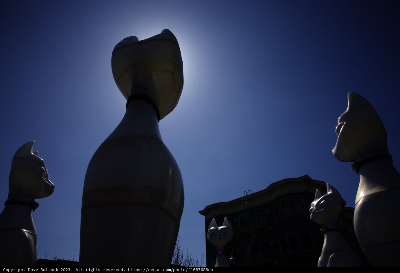 Striking Art Installation in San Francisco