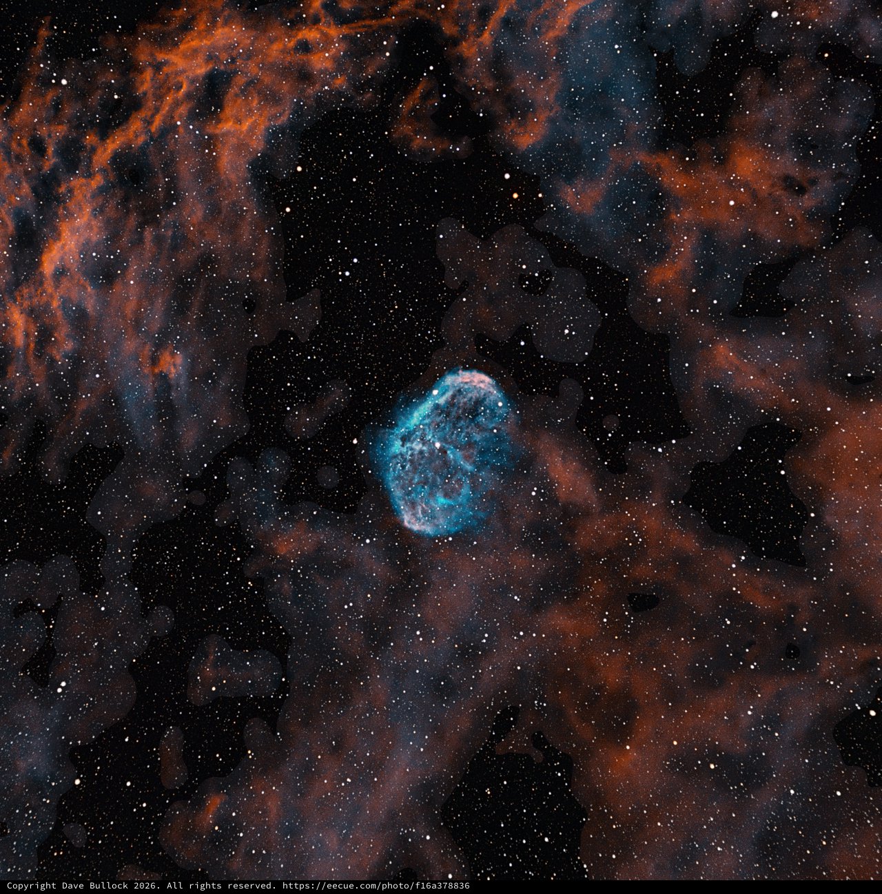 NGC 2175 Monkey Head Nebula in Emission Gas
