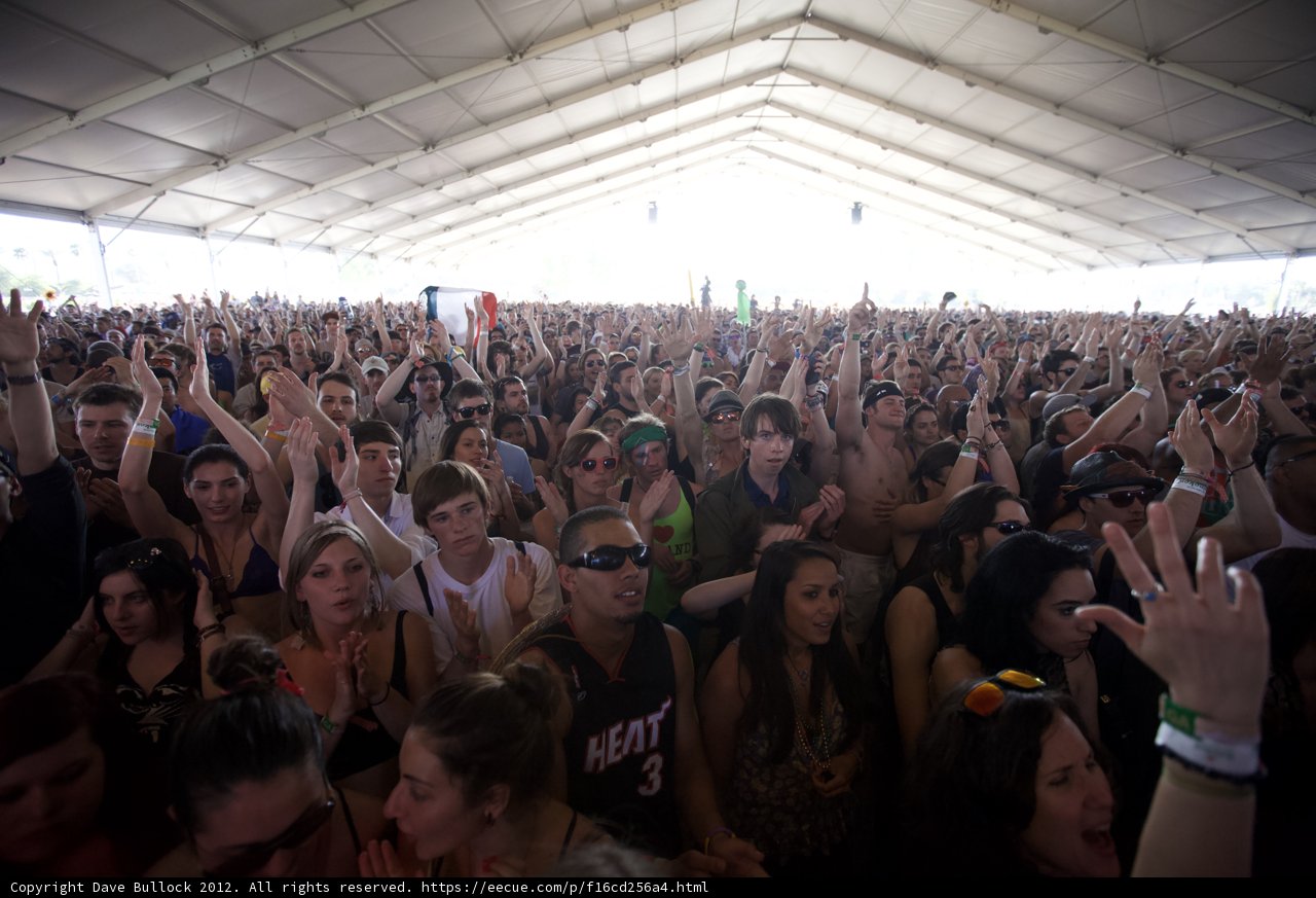 Coachella 2012: A Vibrant Sea of Humanity