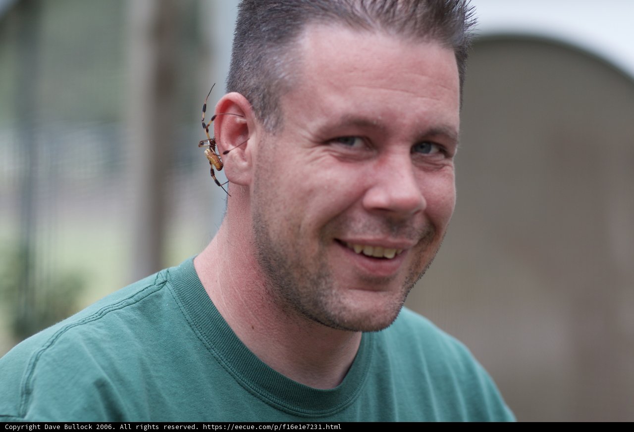 Green Shirt Guy's Happy Smile