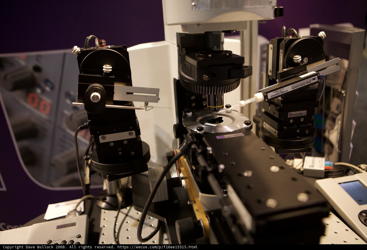 Advanced Imaging with Microscope Camera