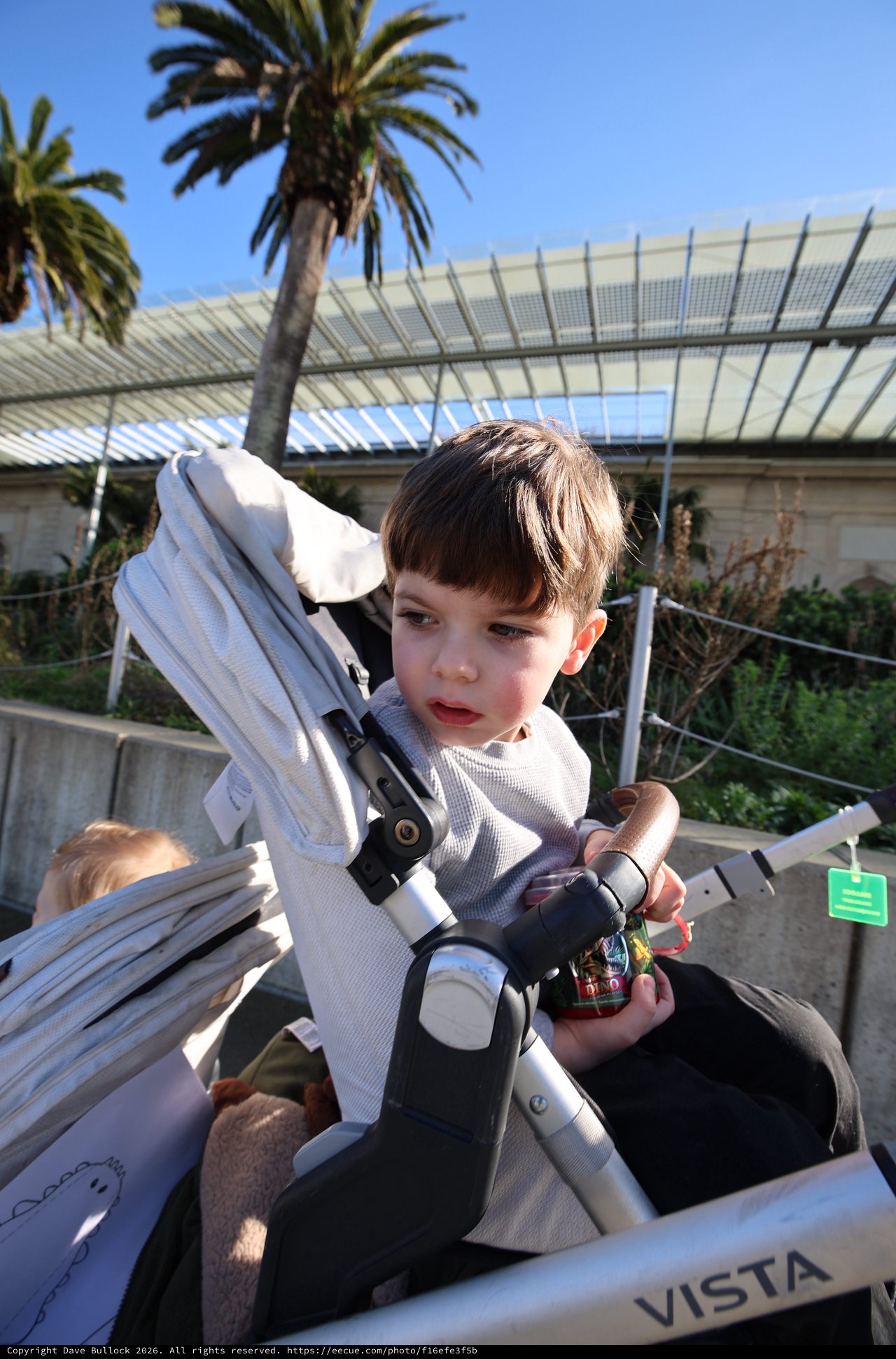 Young Boy in Stroller at Botanical Garden