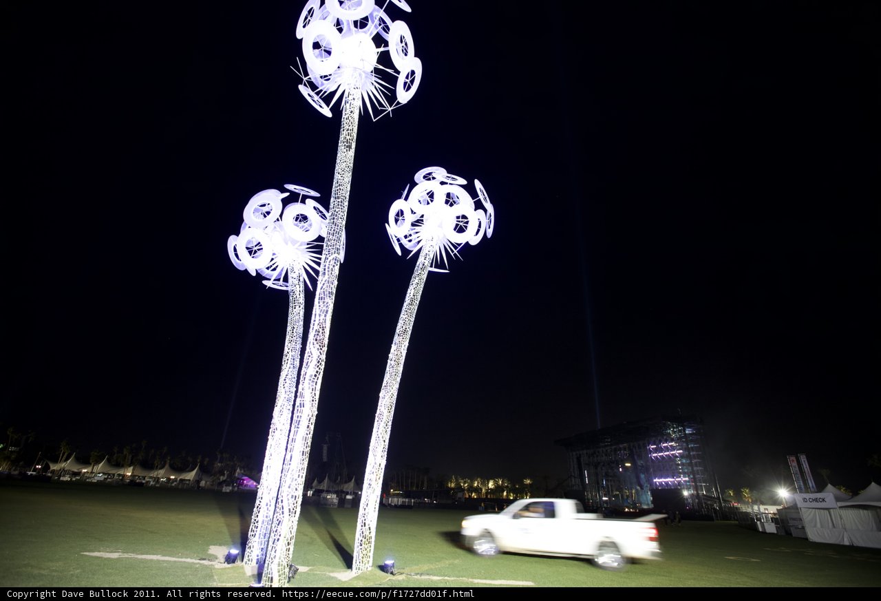 Glowing Palm Tree at Coachella