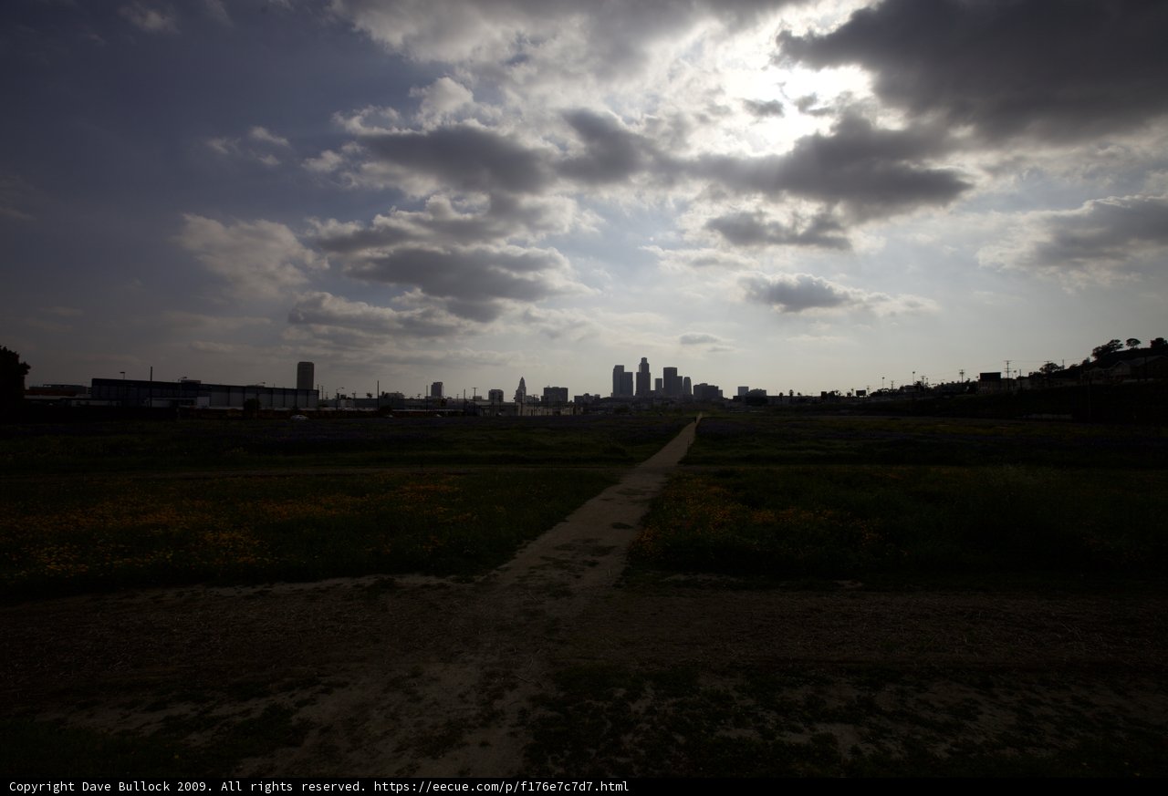 Pathway to the City Skyline