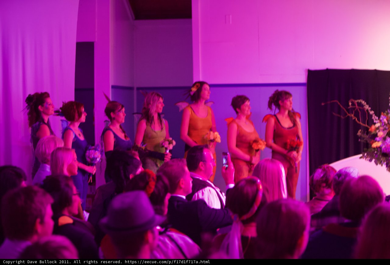 The Urban Night Club Goers