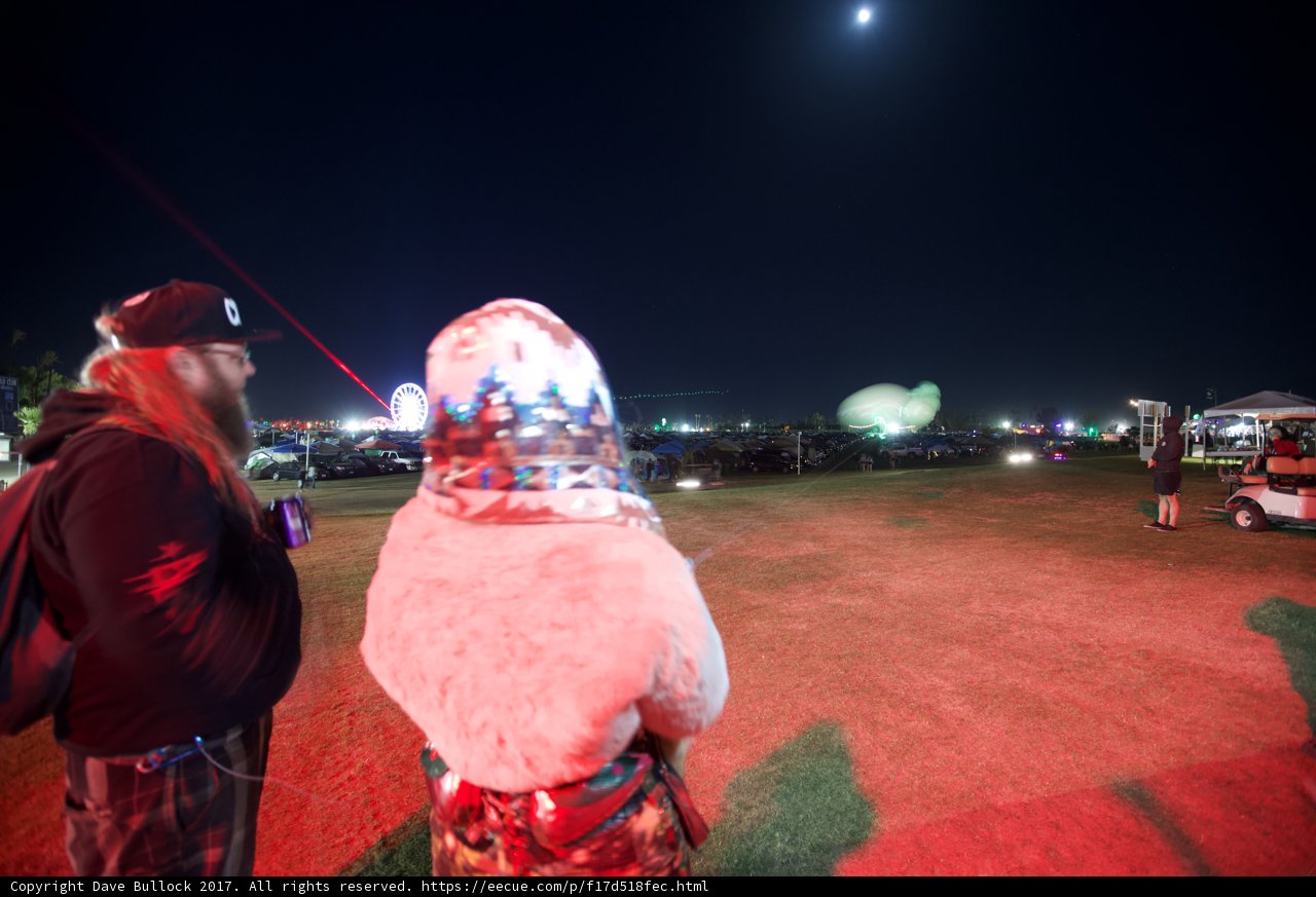 Nighttime Gathering in the Grass