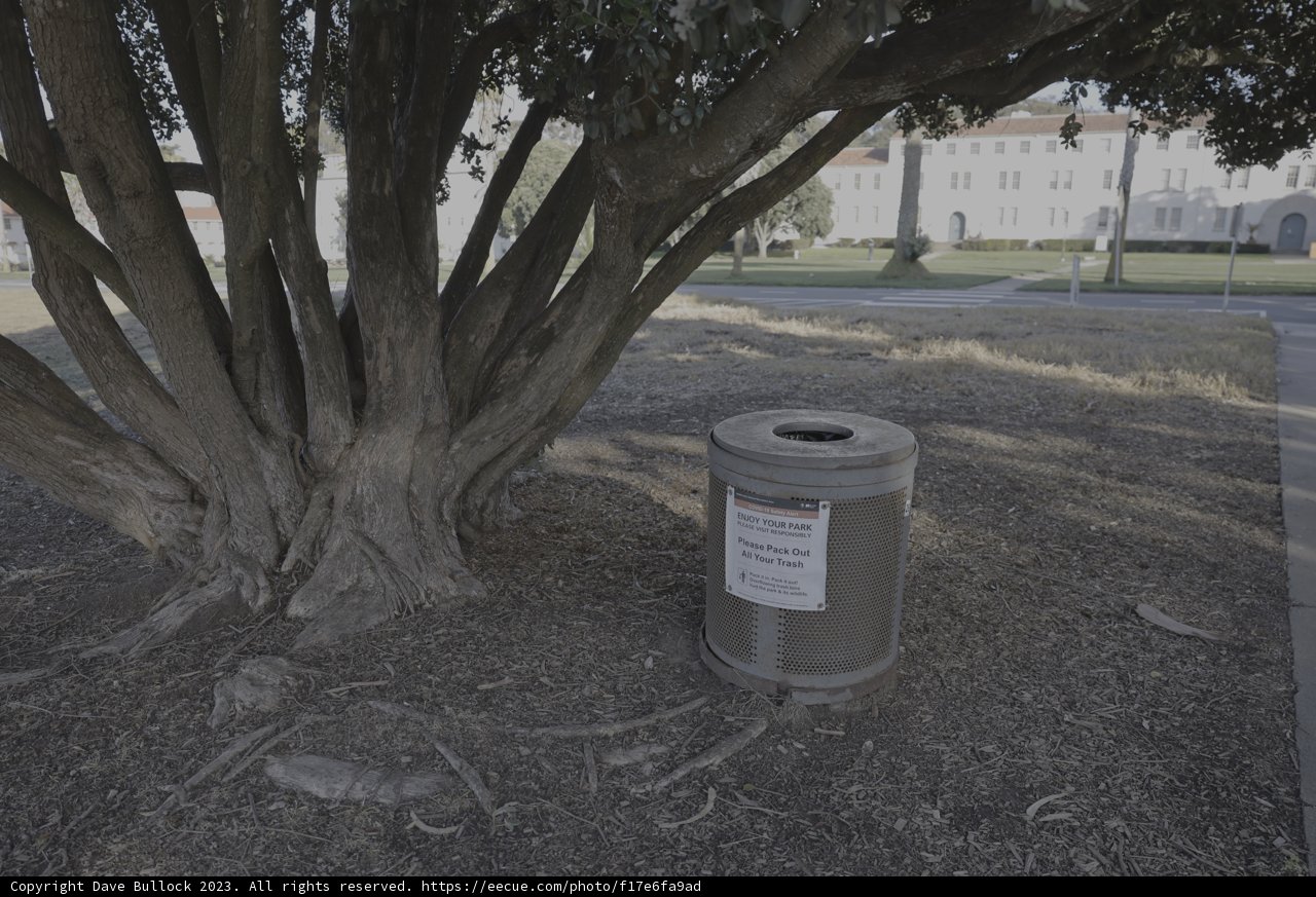 Trash Can and Tree Trunk