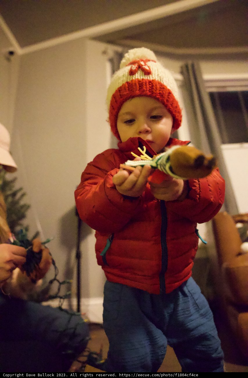 Brushing into the Festive Spirit