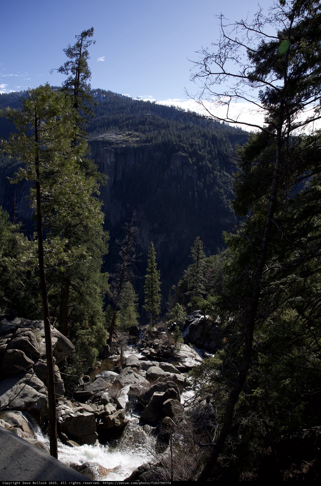 Mountain Stream Cascading Through Yosemite Valley Forest