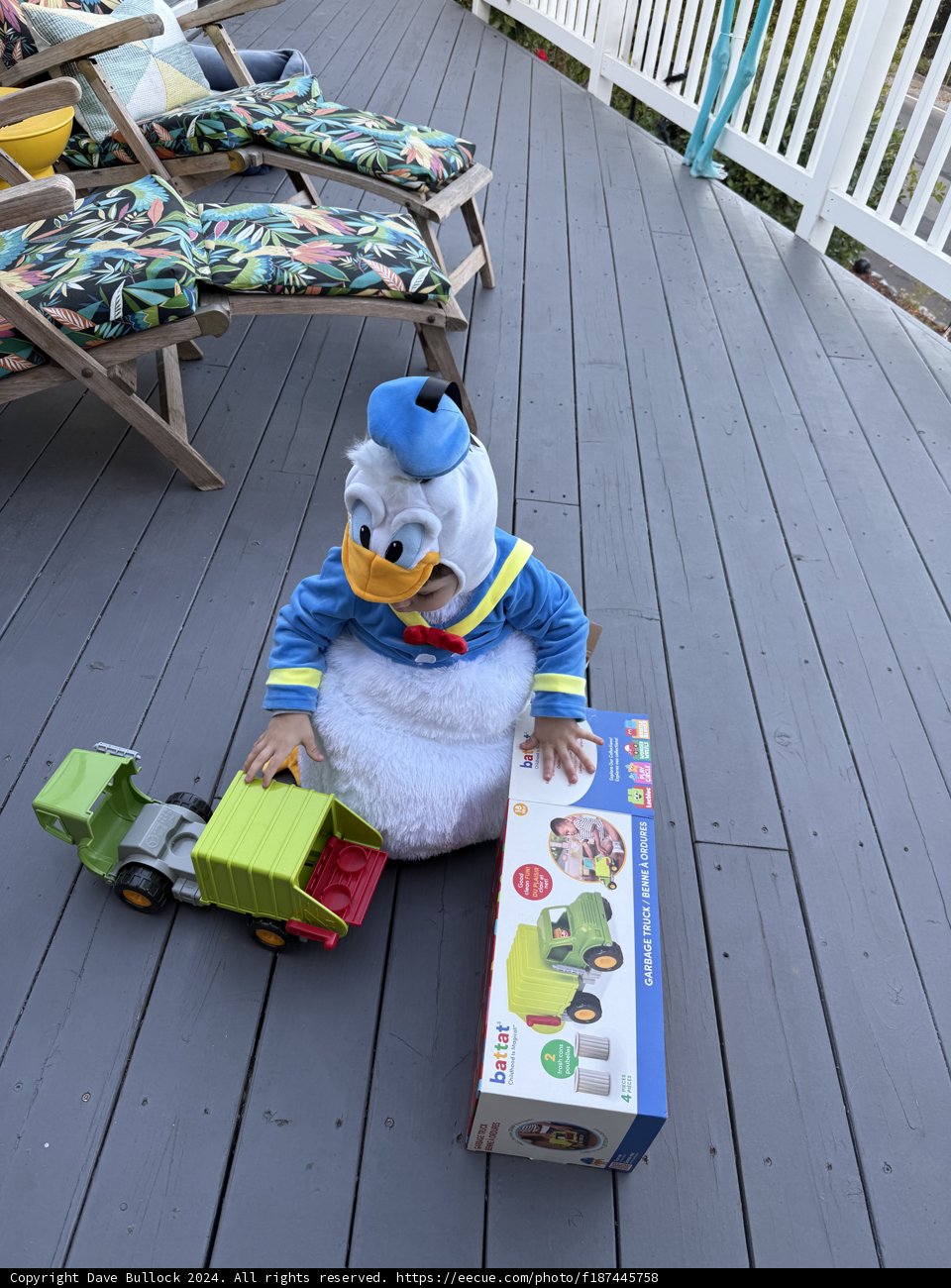 Afternoon Playtime on the Porch