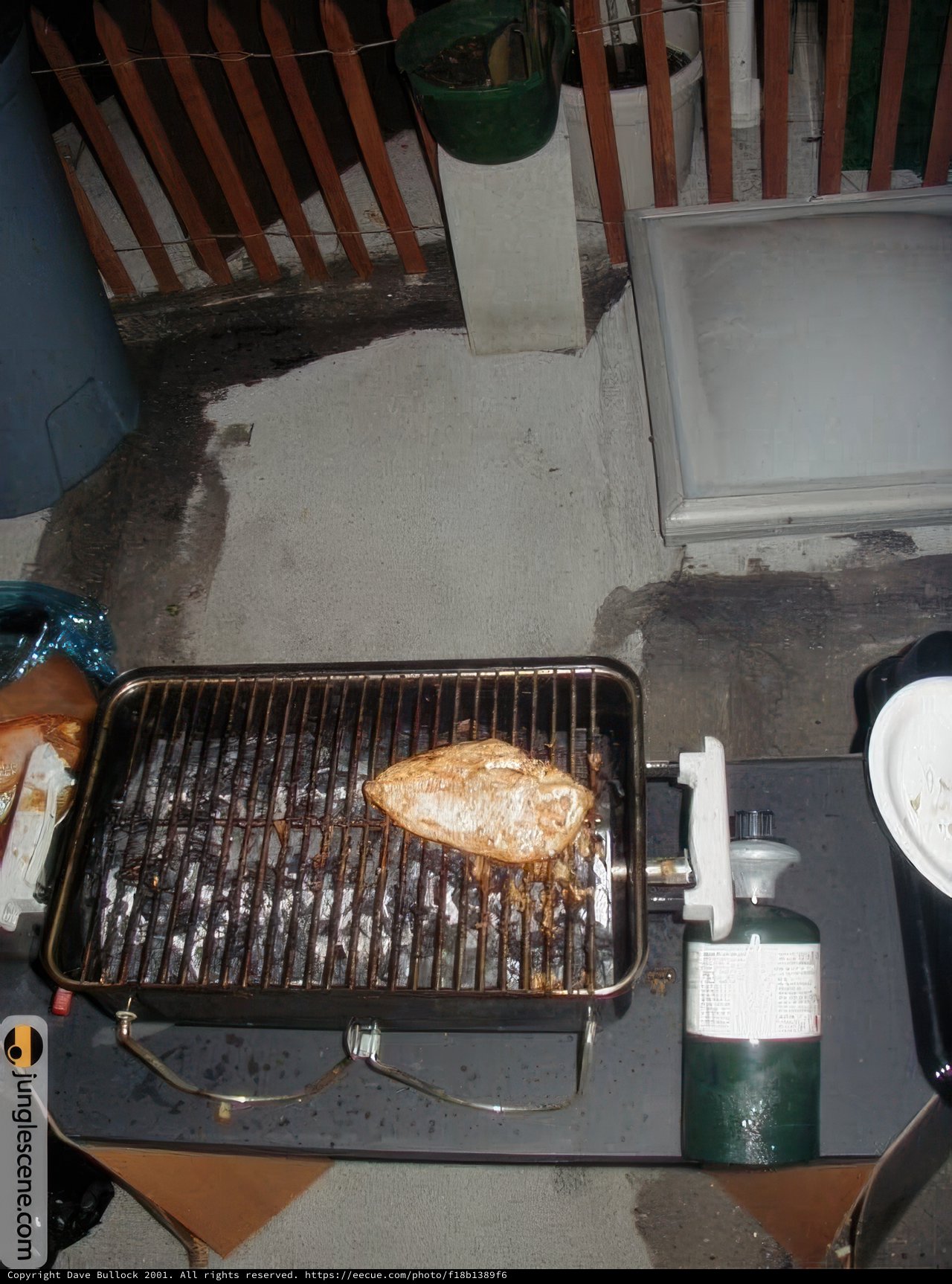 New Year's Eve BBQ Feast