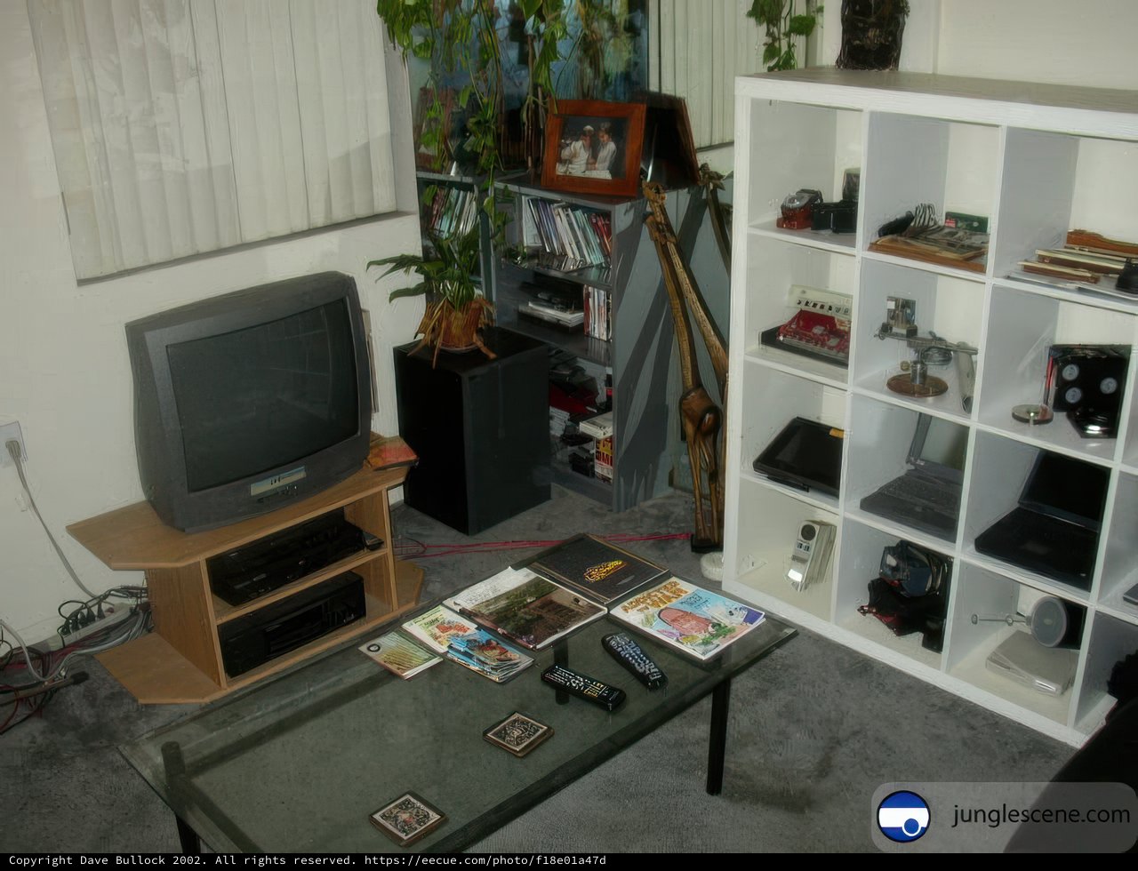 Cozy Living Room Entertainment