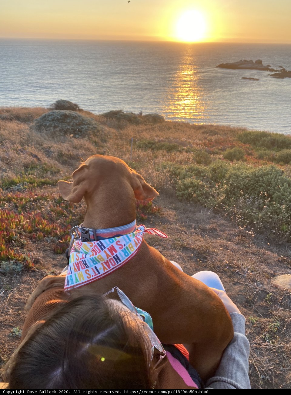 Sunset Serenade