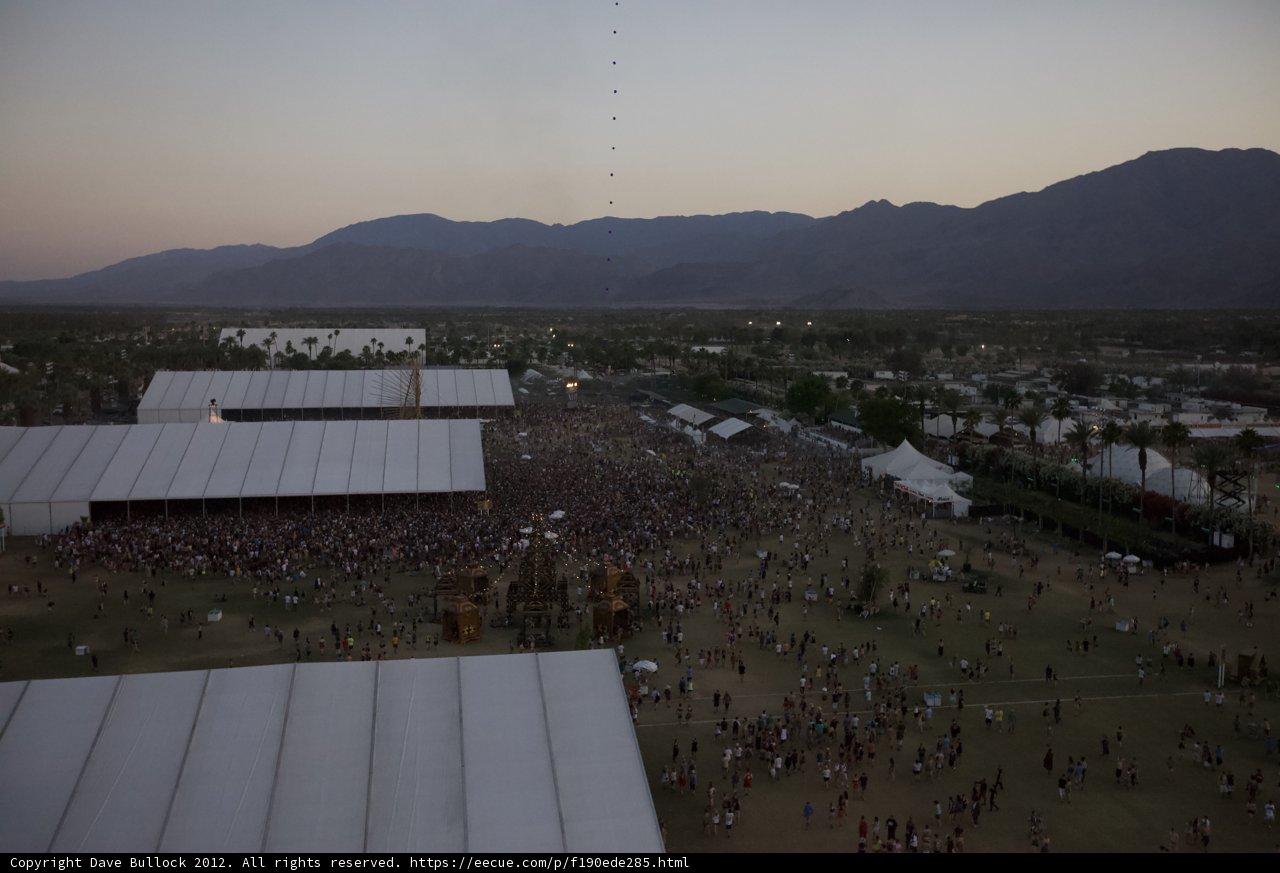 The Rooftop Crowd