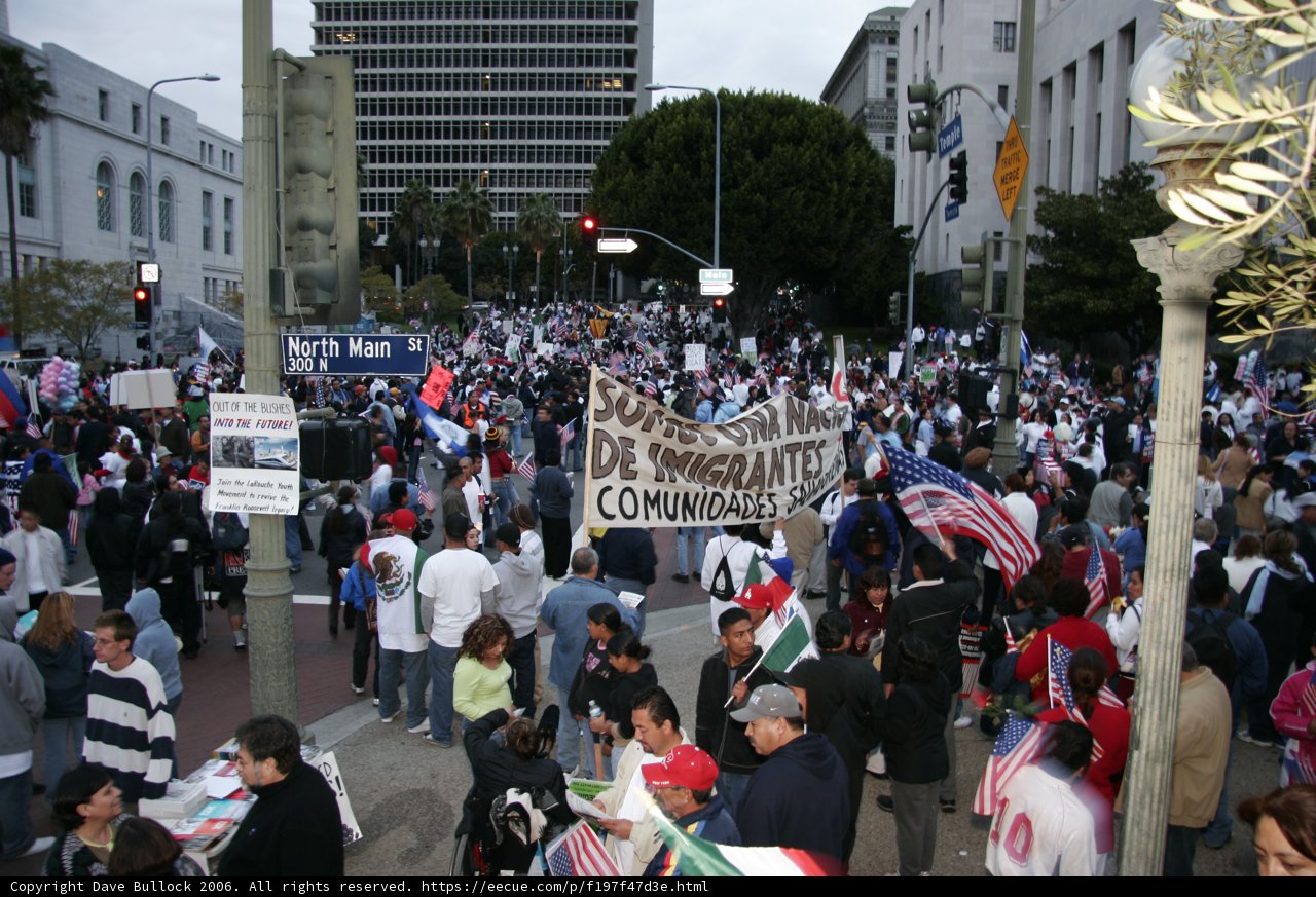 Unity in Diversity Caption: A large, diverse crowd marches through the streets waving flags and holding signs advocating for various causes. Paul Gonzales is among the many people uniting together for a common goal.