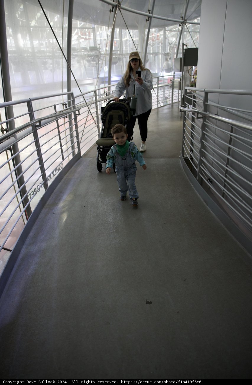 A Strolling Adventure at the California Academy of Sciences