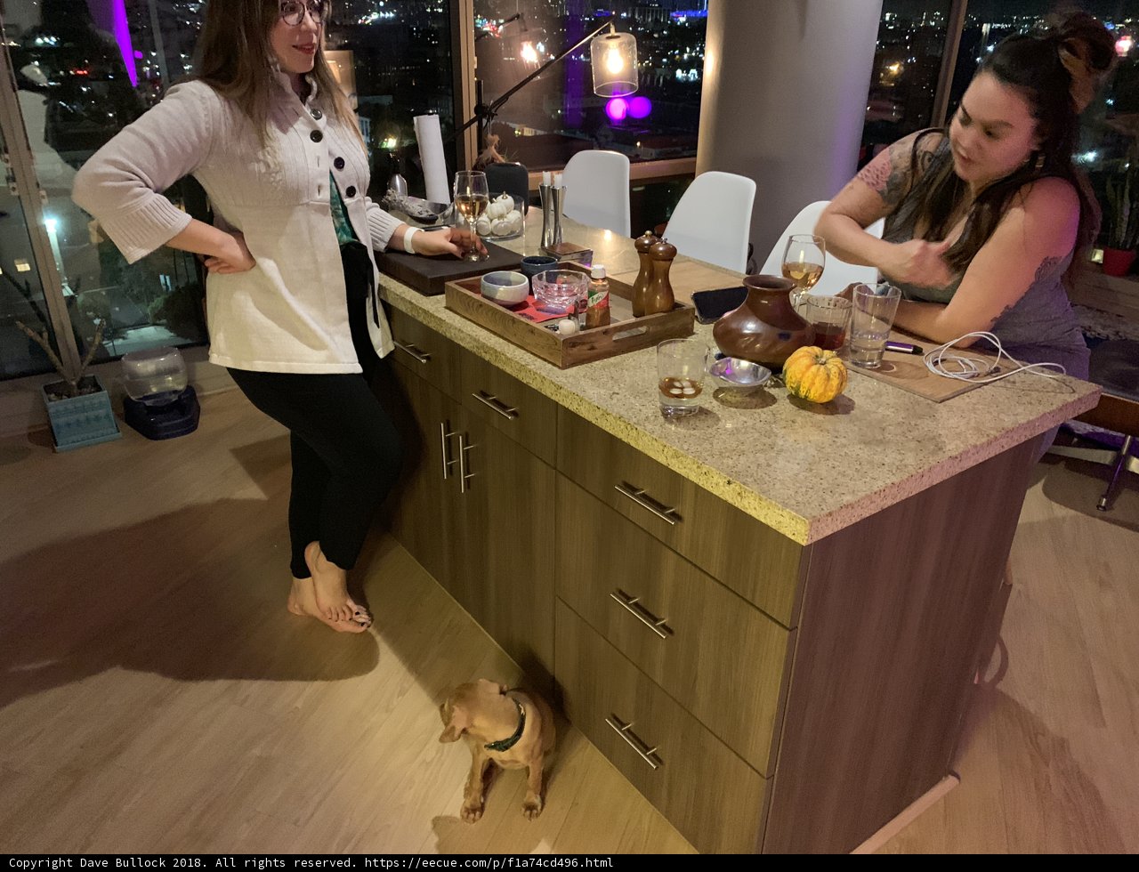 Two Women and a Pup in the Kitchen