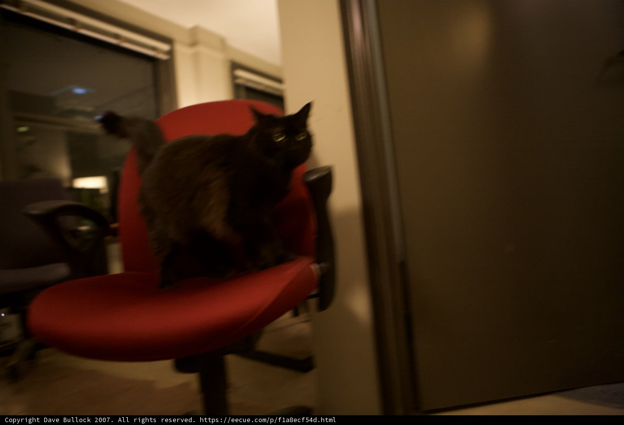 Midnight Lounger