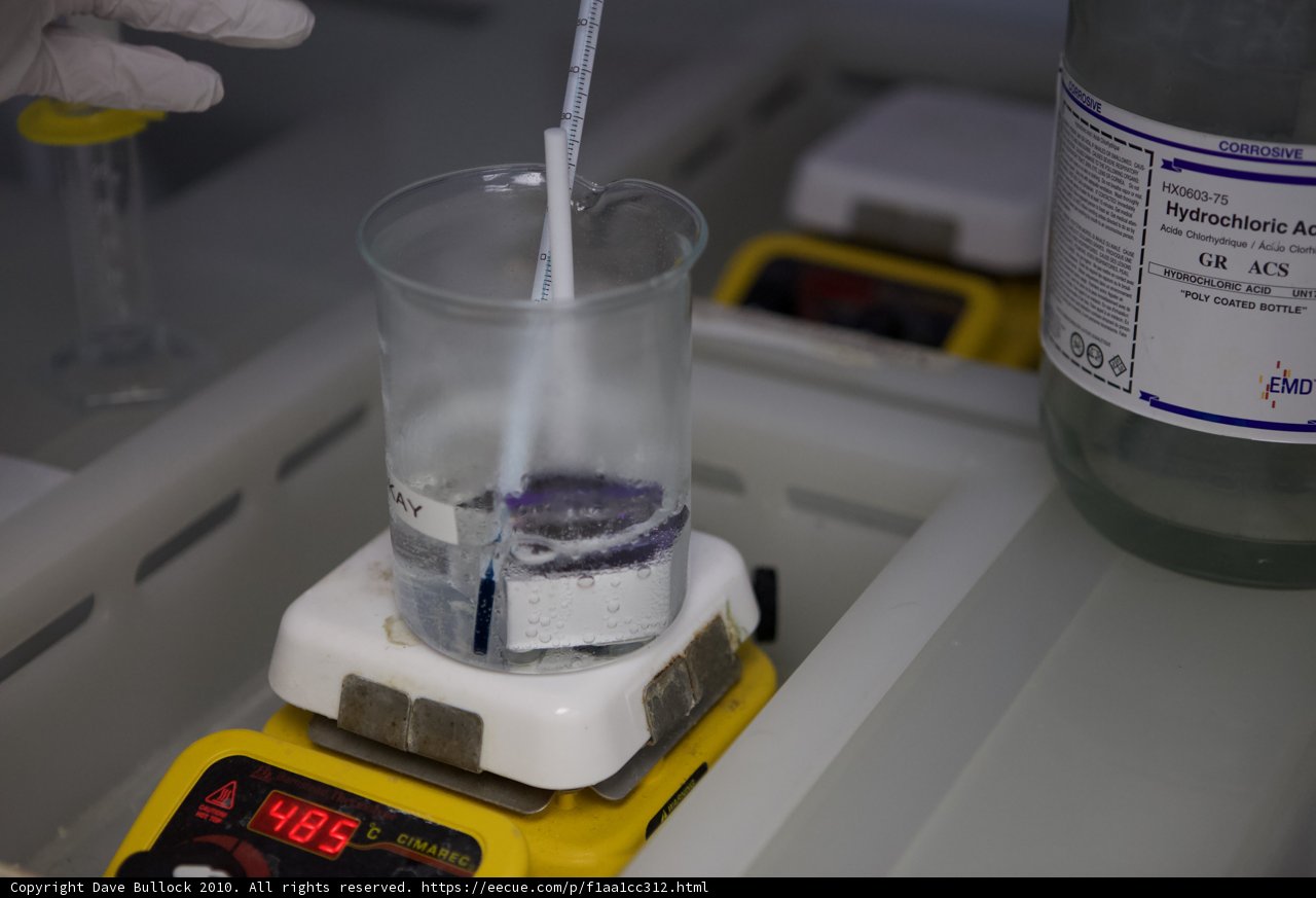 Refreshing Break in the Lab