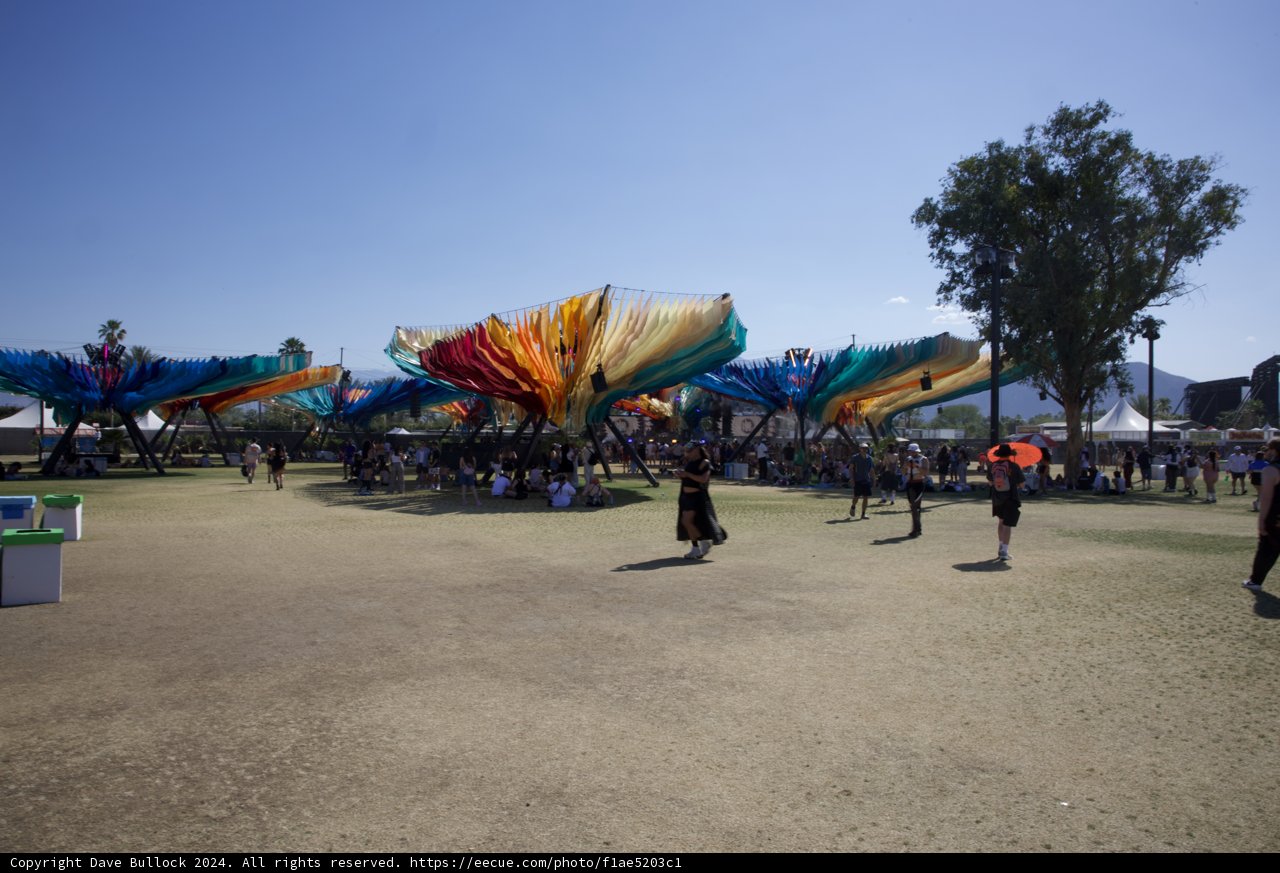 Vibrant Canopies at Coachella 2024