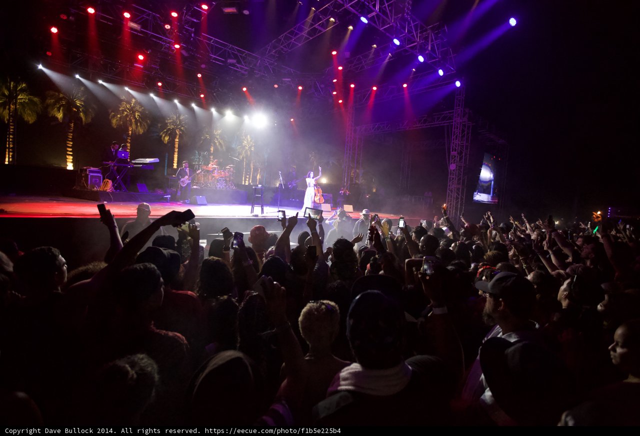 Rocking with the Crowd