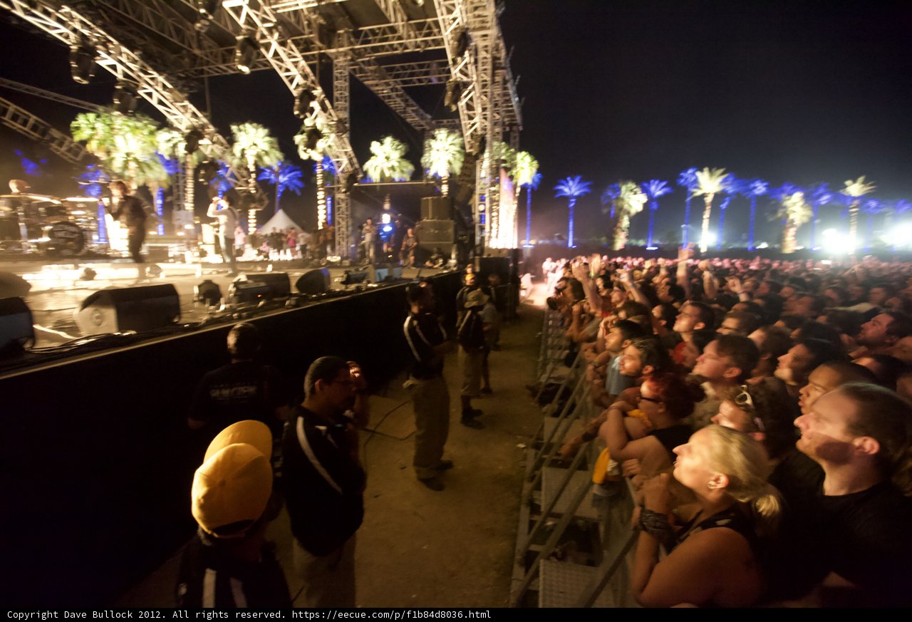 Nighttime Concert Fever