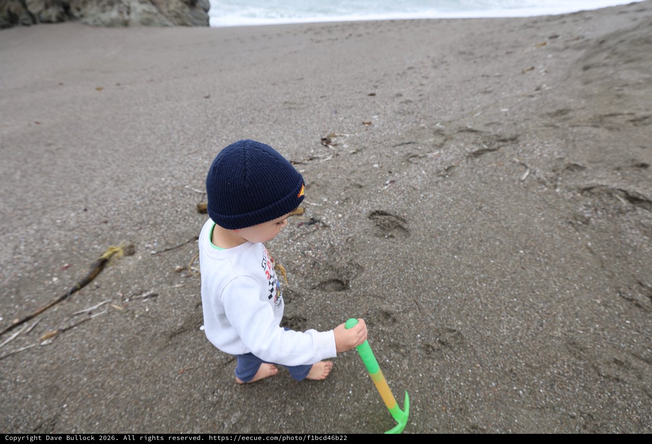 Little Explorer Playing in the Sand at the Beach