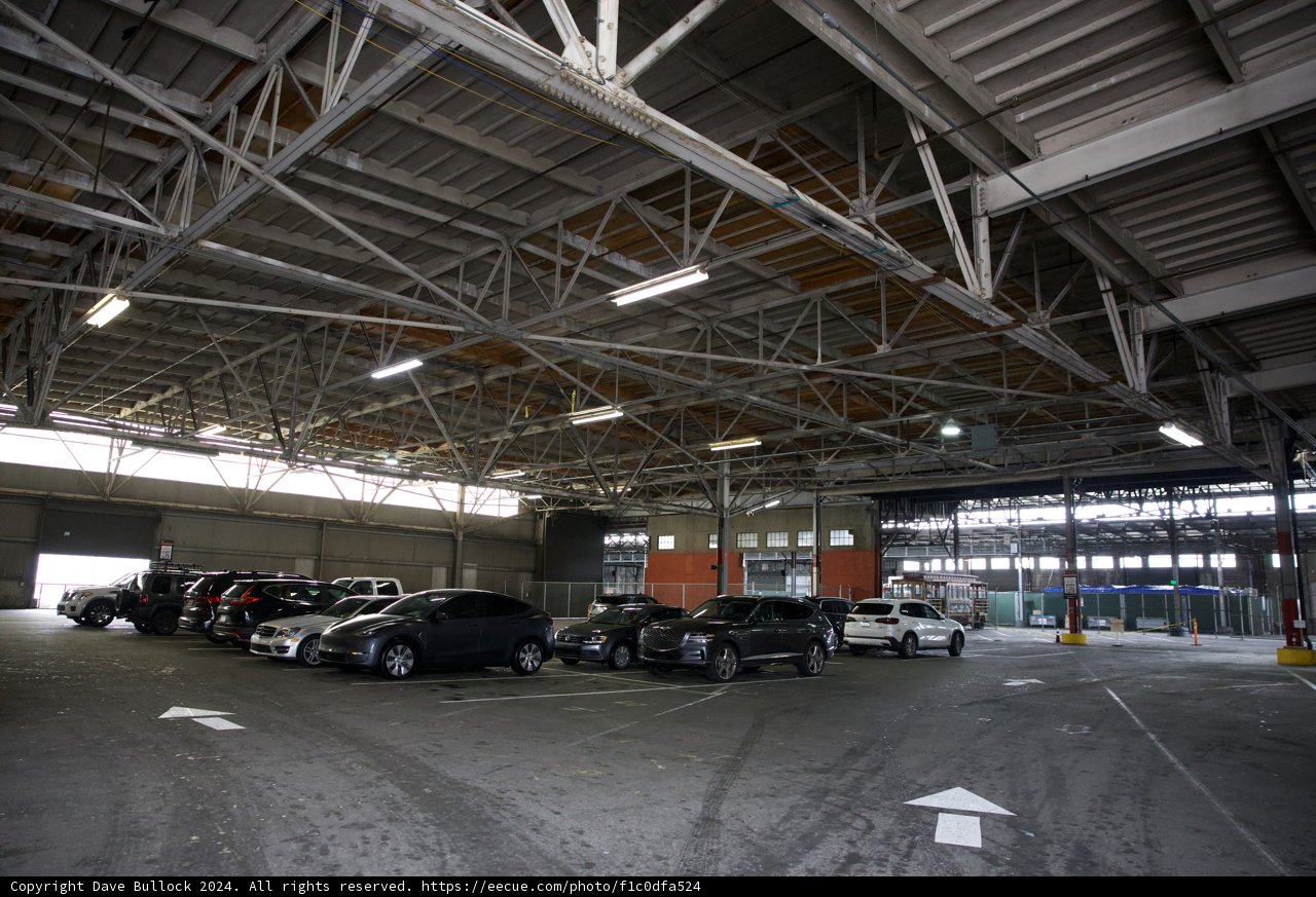 Exploring the Urban Jungle: A Moment in the Garage