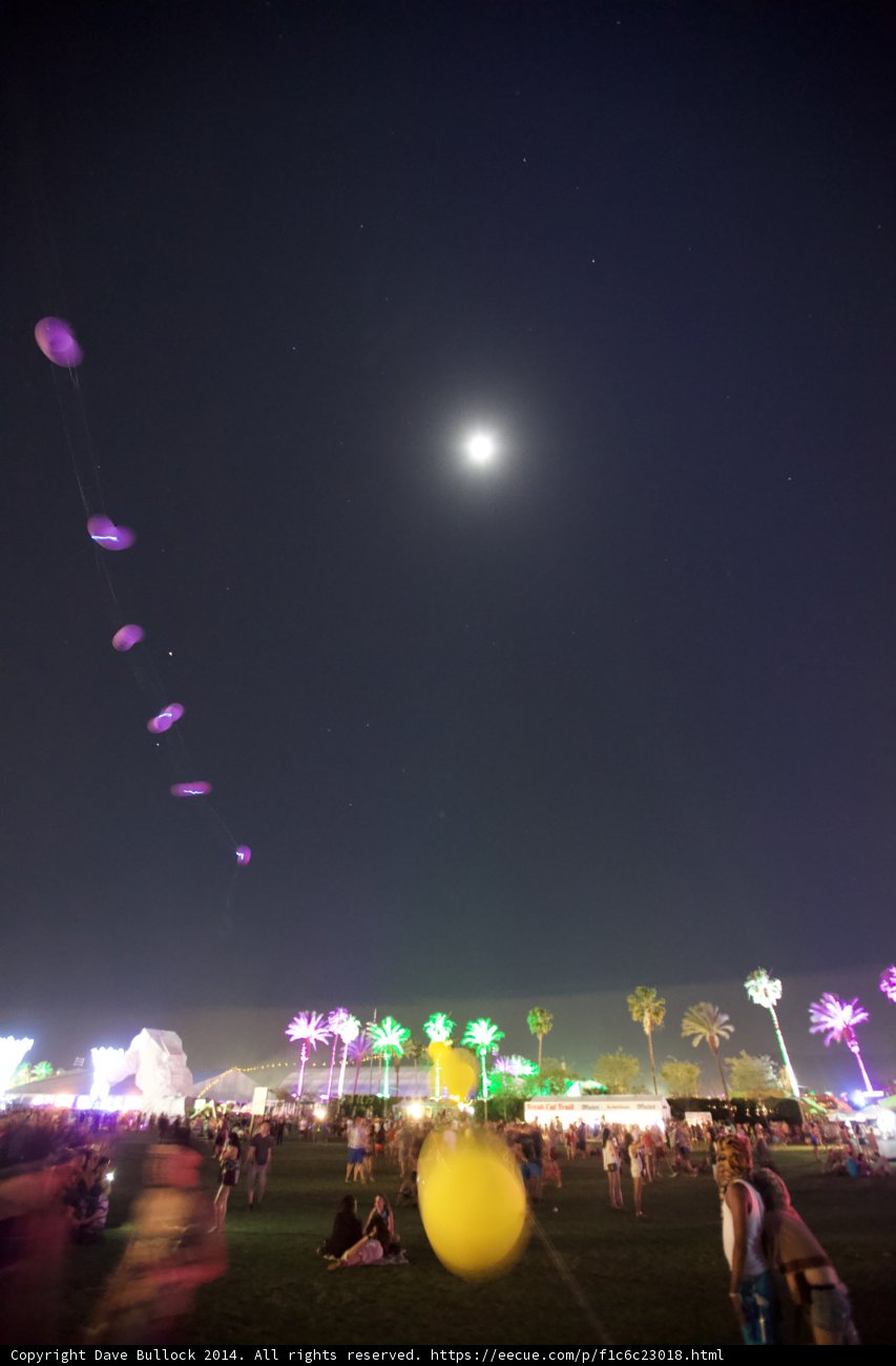Moonlit Field