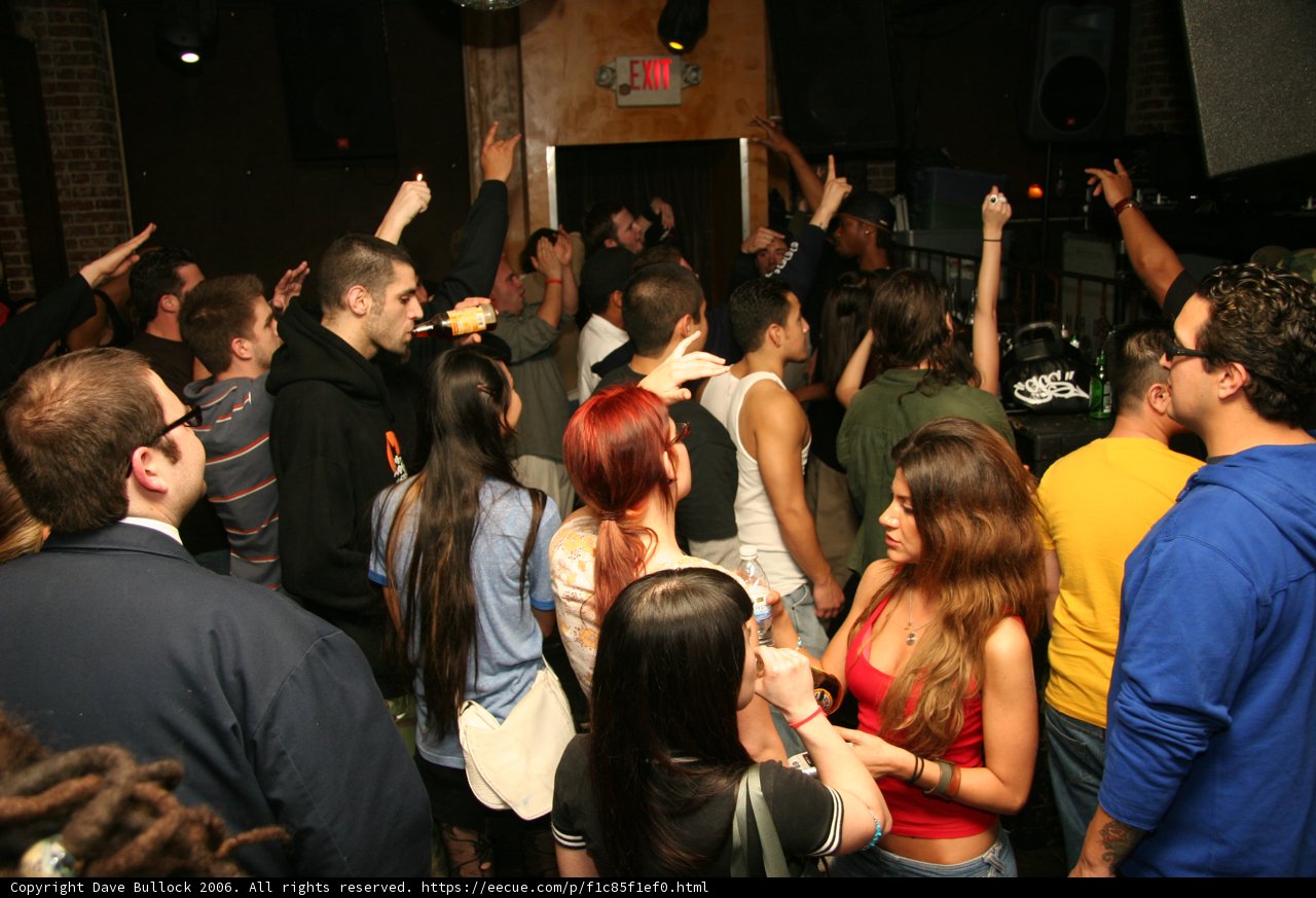 Party Crowd with Raised Hands