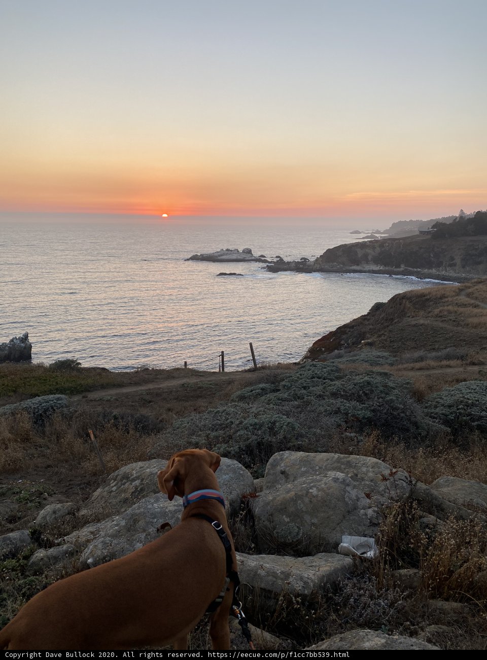 Overlooking the Ocean