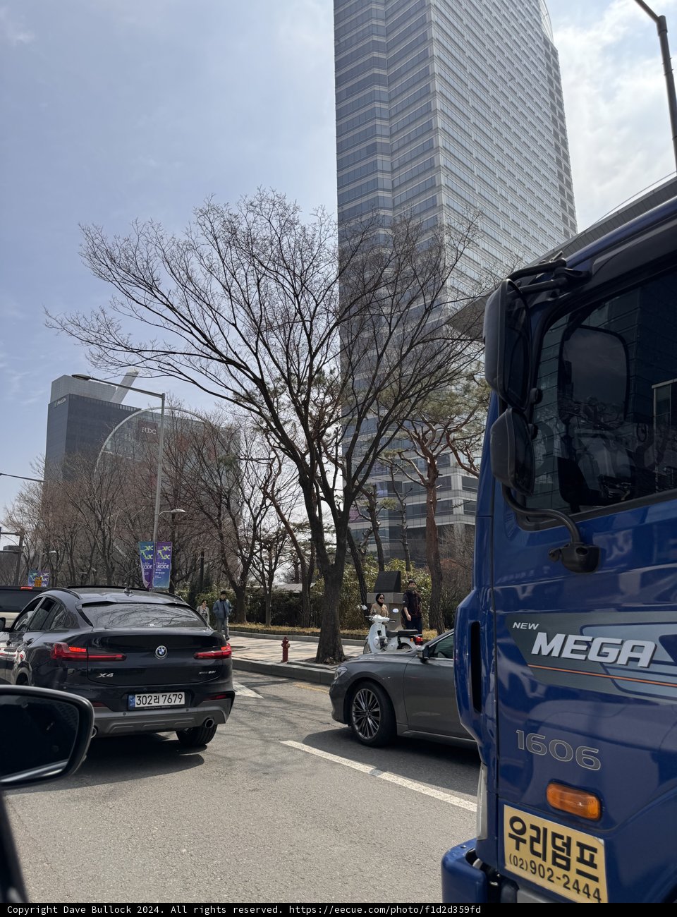 Metropolitan Pulse: Urban Streetscape in Seoul