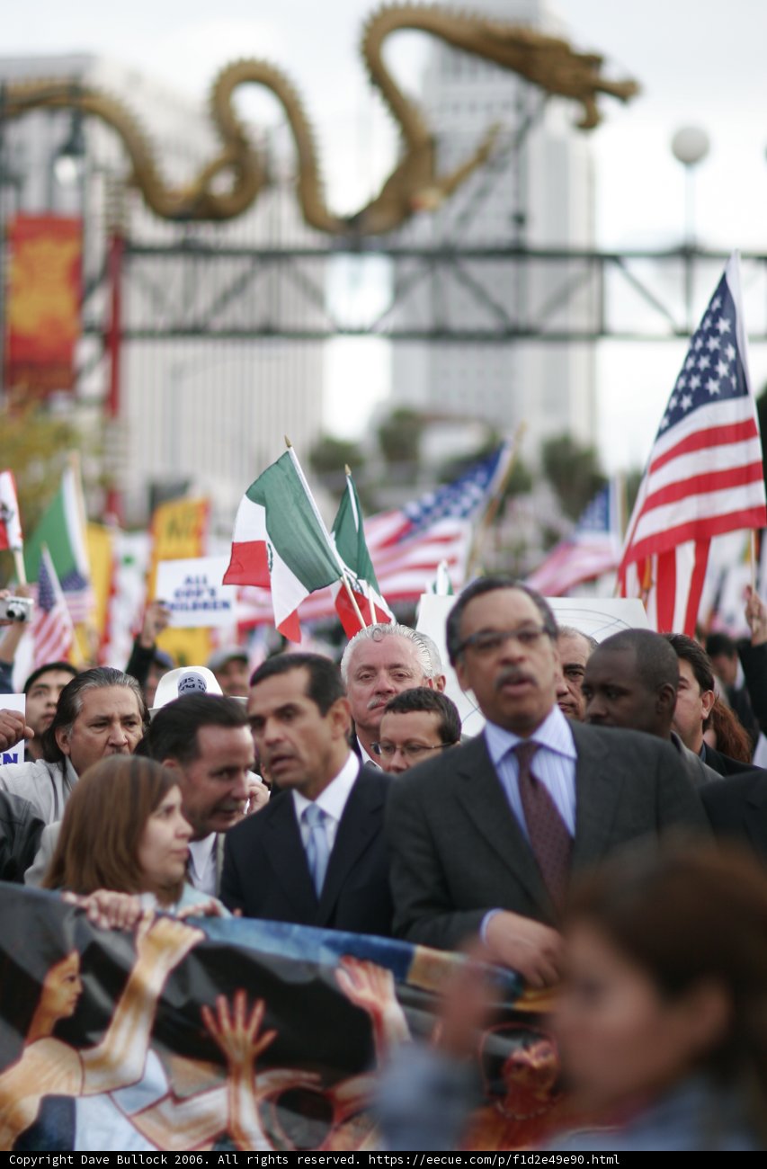 Patriotic Protesters