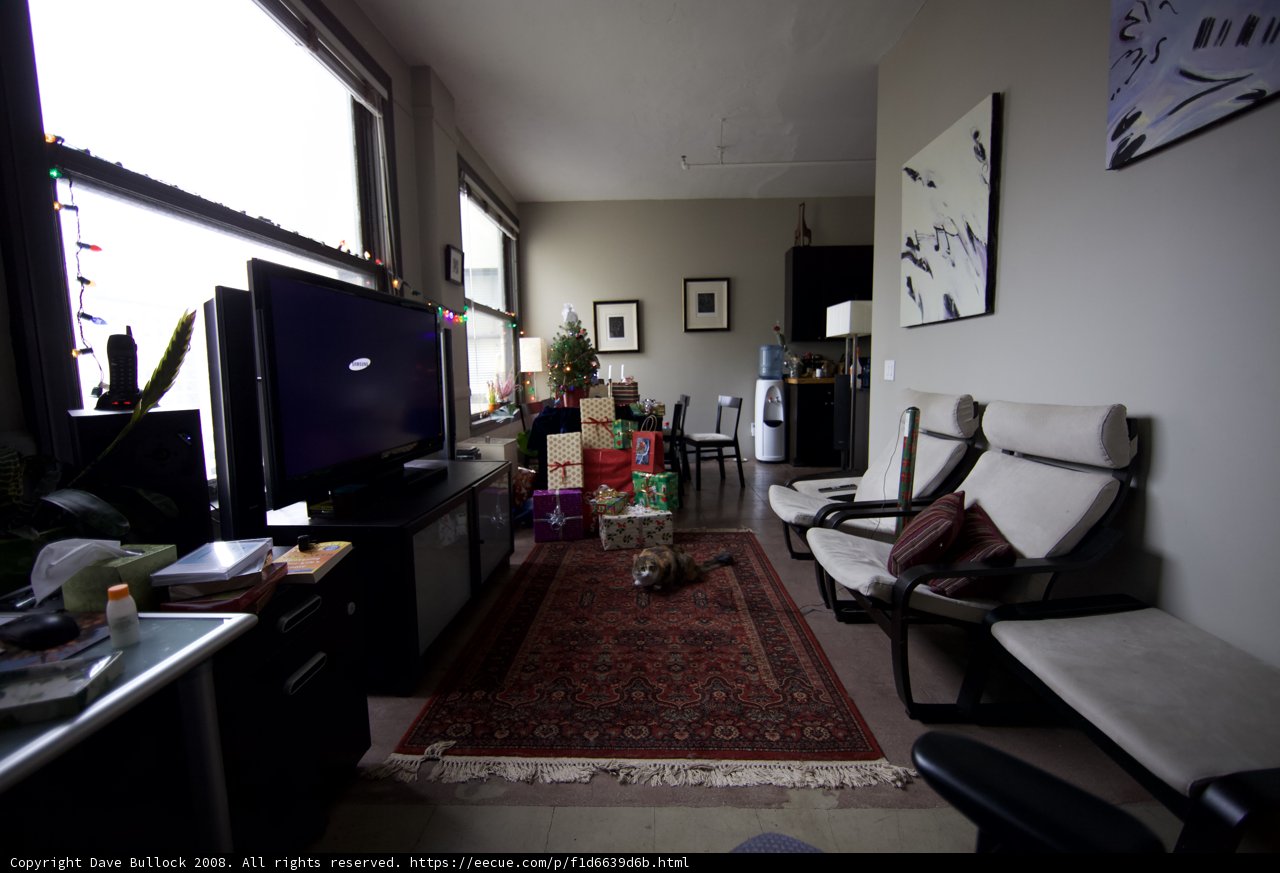 Relaxing in a Festive Living Room