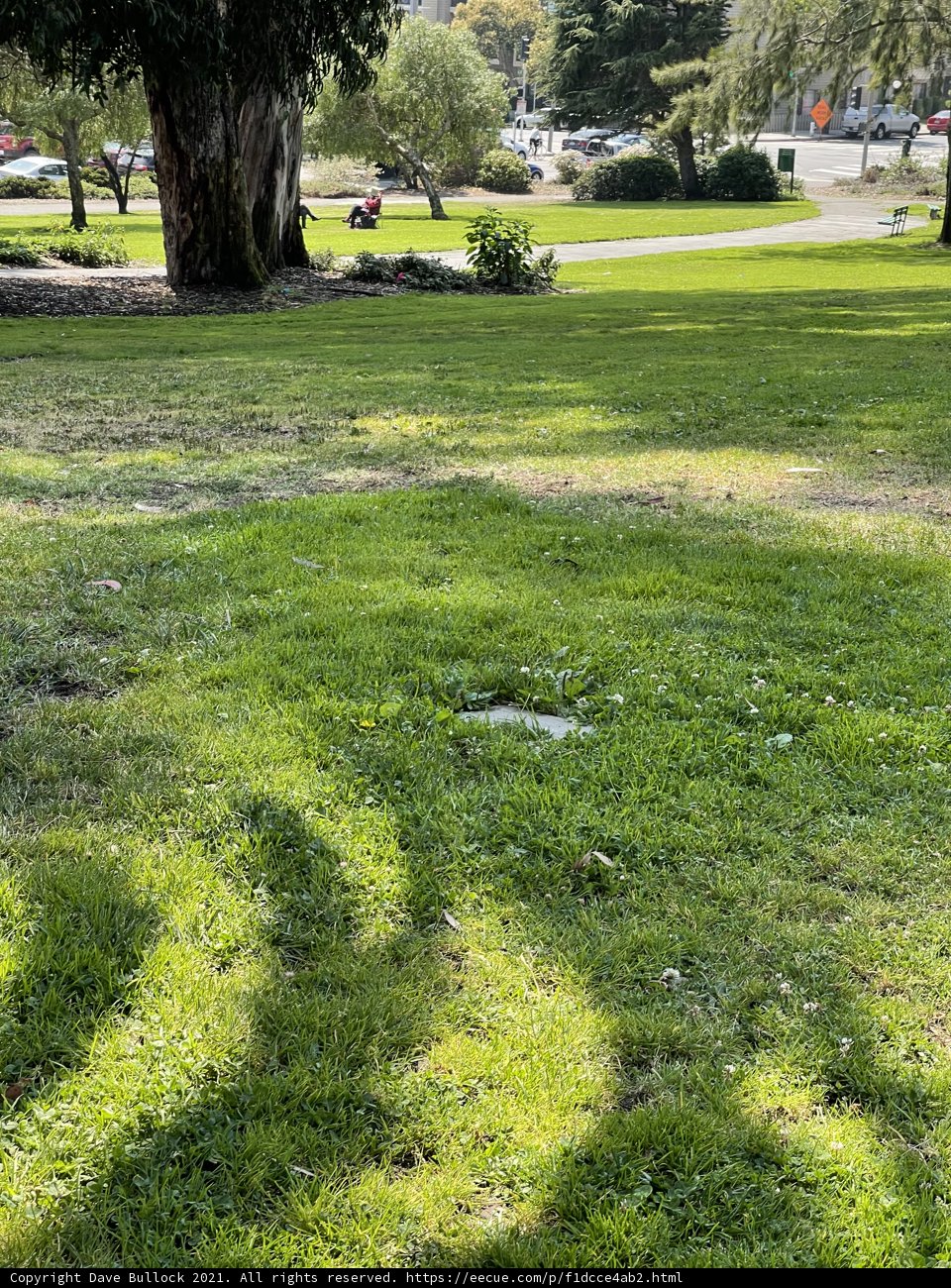 Fire Hydrant in the Park