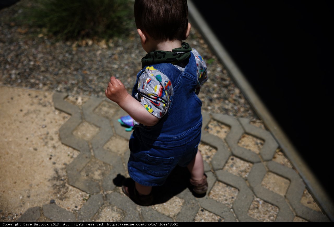 Adventure-Ready Toddler