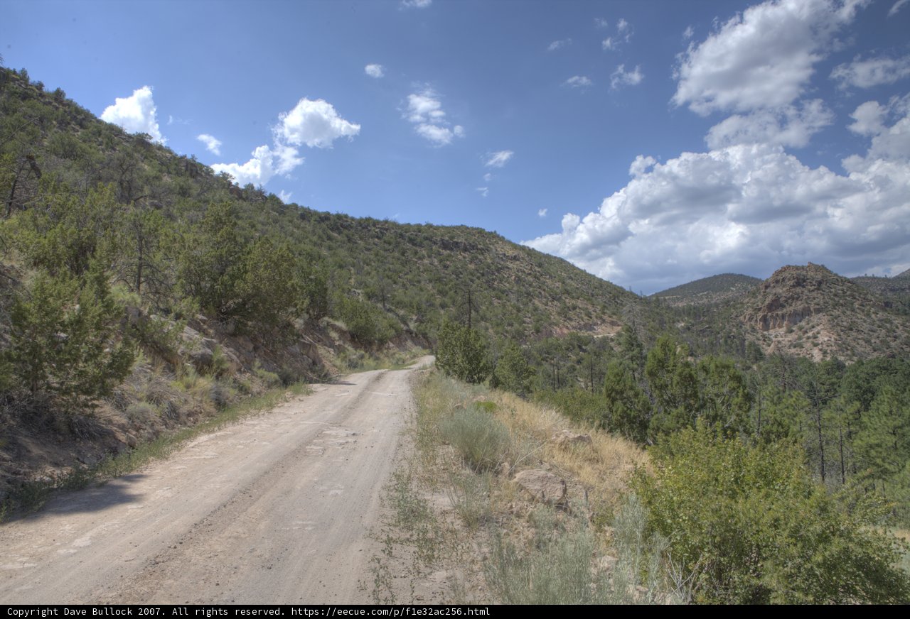 Serene Dirt Road in the Wilderness