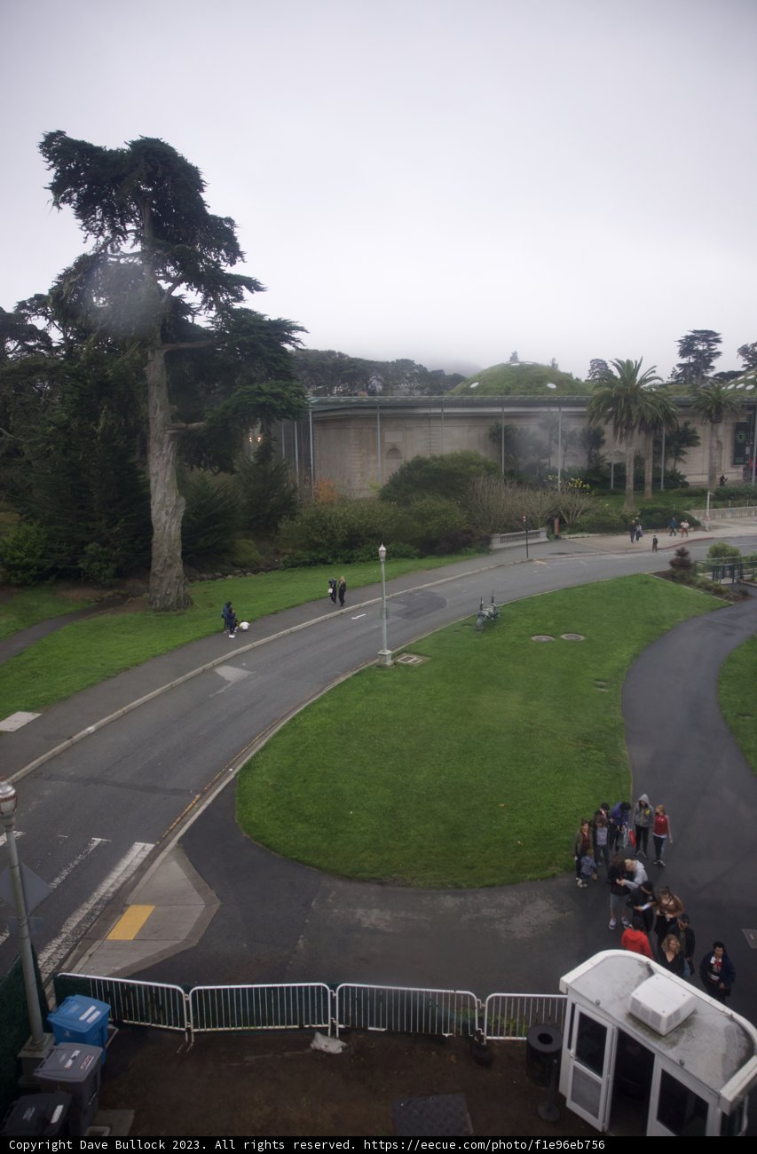 Vibrant City Life: A Day in Golden Gate Park