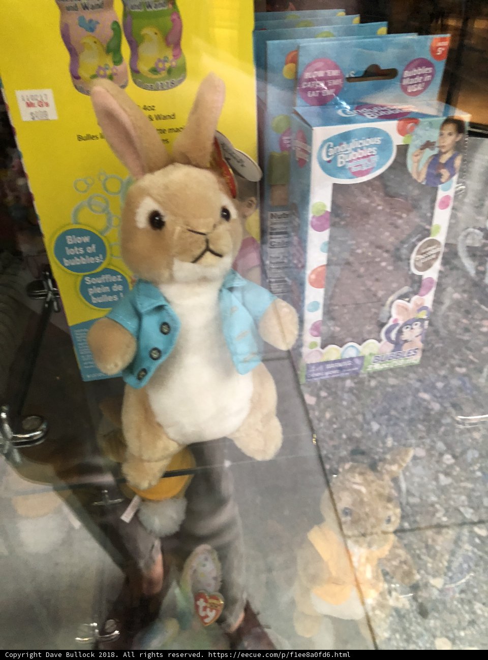 Window Display Wonderland