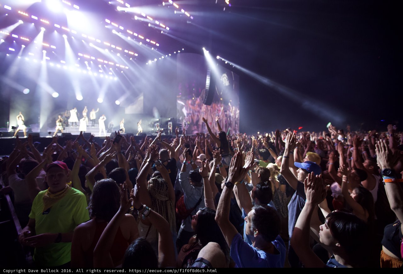 Hands Up in the Crowd at Coachella