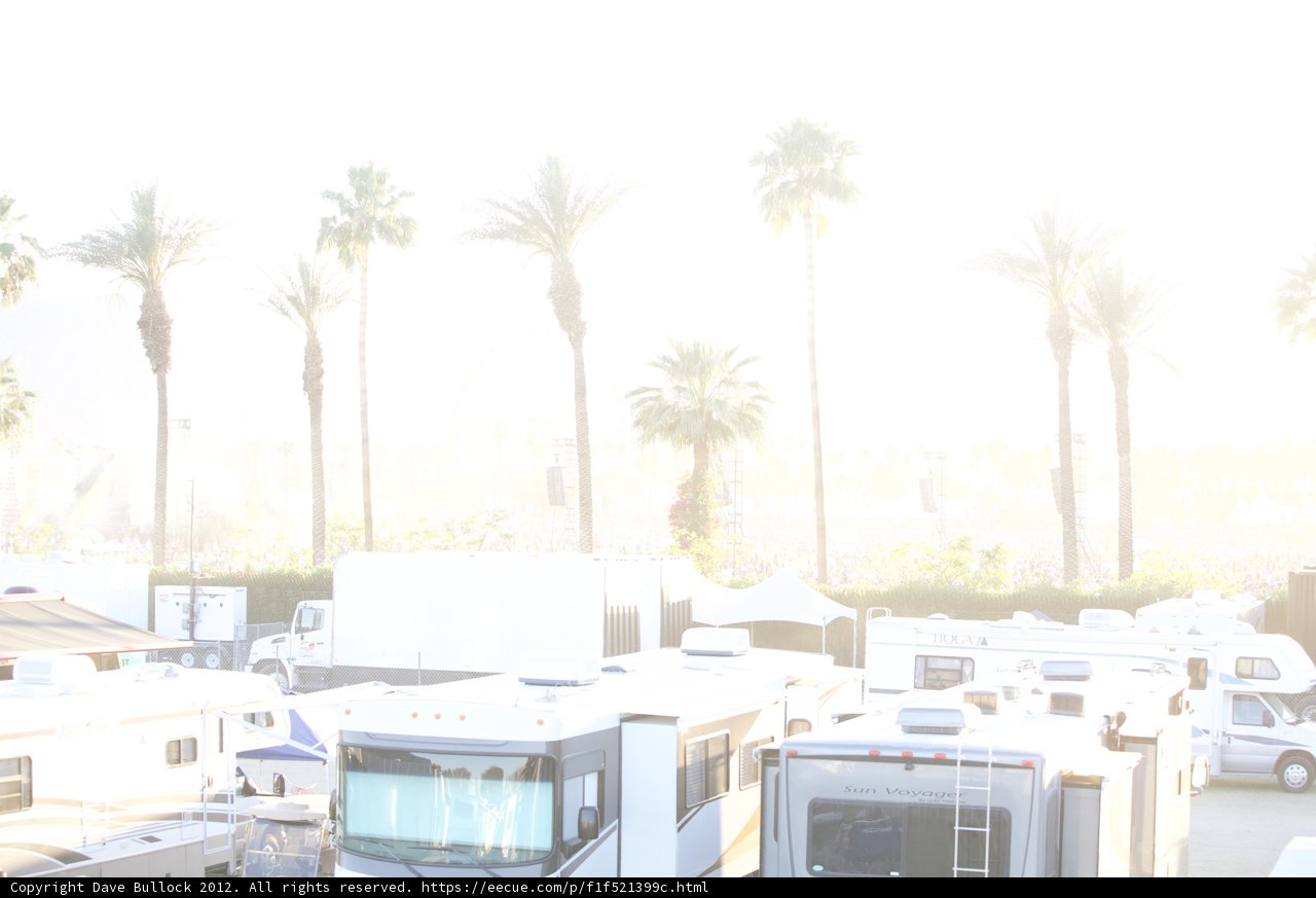 RV Oasis in the Palm Trees