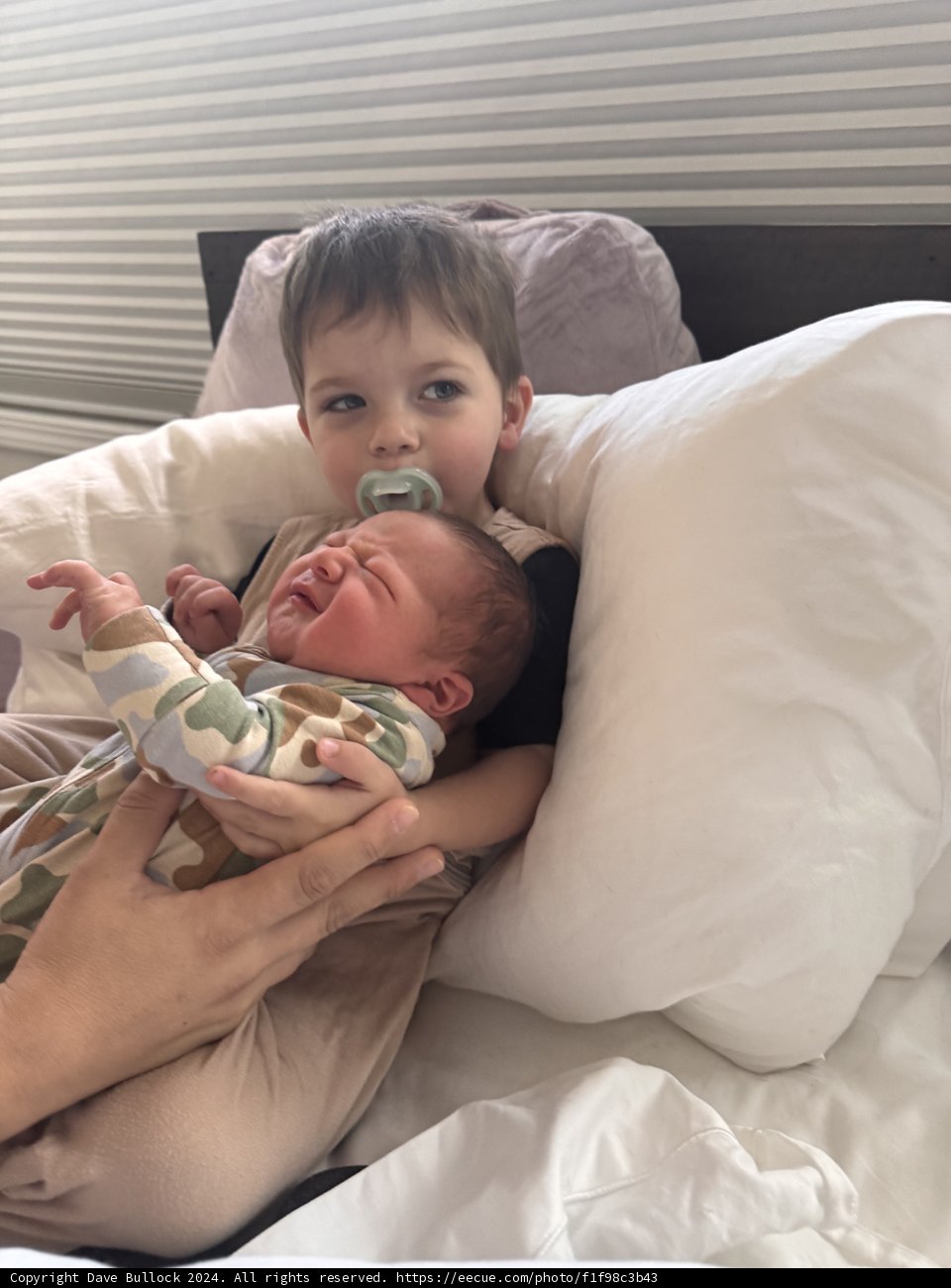 Sibling Snuggles