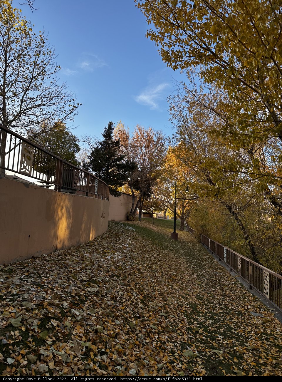 Scenic View of Park from Hilltop