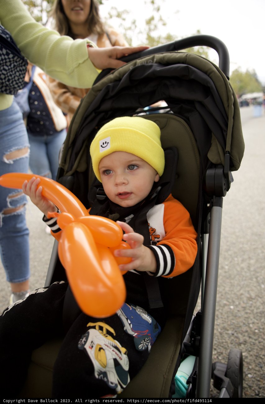Baby Wesley's Stroll in Autumn