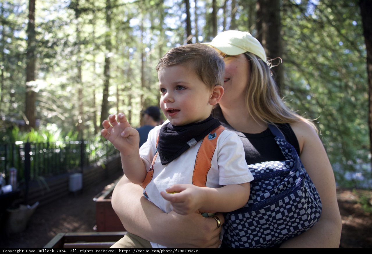 Woodland Wonders: A Toddler's Discovery at Tilden